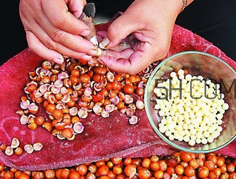 芡實有什么作用？芡實是哪里的特產