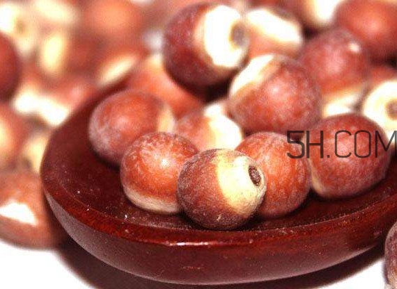 芡實(shí)營(yíng)養(yǎng)價(jià)值有哪些？芡實(shí)哪里的最好