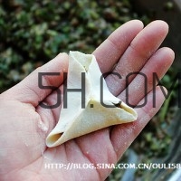 餃子和面用熱水還是冷水？餃子和面要醒多長(zhǎng)時(shí)間？