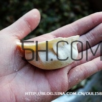 餃子和面用熱水還是冷水？餃子和面要醒多長(zhǎng)時(shí)間？