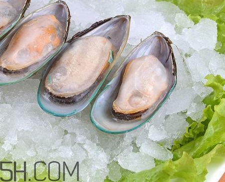 海蠣子是發(fā)物嗎？海蠣子什么人不能吃