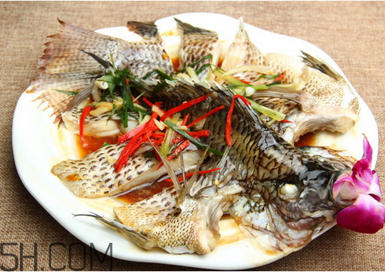 沒有魚刺的魚是哪種魚？如何挑選魚？