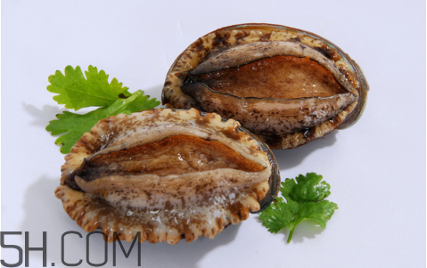 鮑魚吃了會上火嗎？鮑魚是發物嗎？
