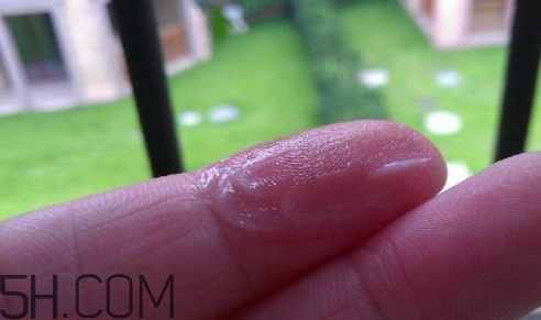 百雀羚乳液多少錢一瓶？百雀羚乳液專柜價格