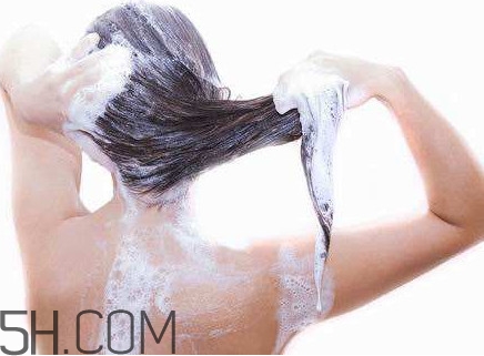 醋洗頭是白醋還是陳醋？用醋洗頭要用洗發(fā)水嗎？