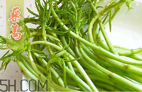藜蒿什么季節(jié)有？藜蒿是發(fā)物嗎