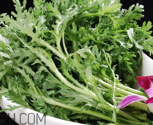 皇帝菜是什么樣子？皇帝菜又叫什么菜