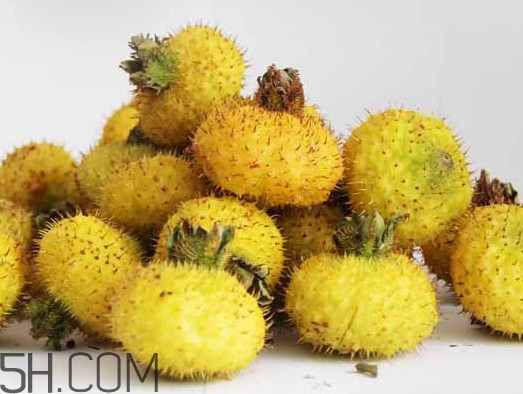 刺梨能降血壓嗎？刺梨是哪里的特產