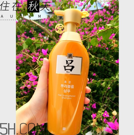 黃呂洗發水怎么樣？黃呂洗發水適合人群