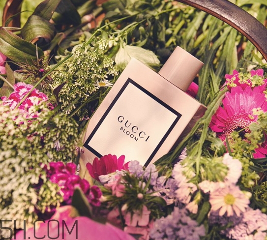 gucci bloom香水多少錢？gucci bloom香水專柜價格
