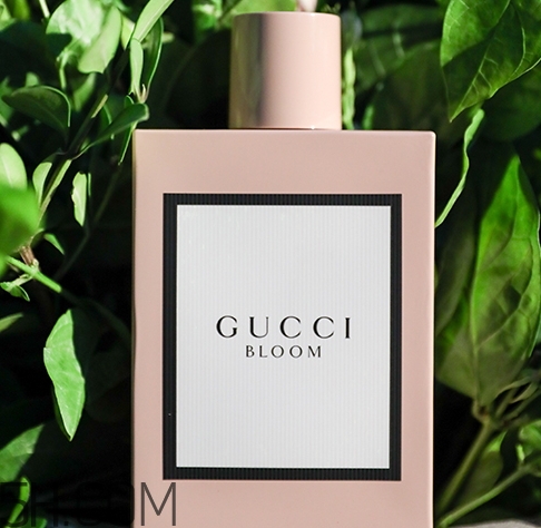 gucci bloom香水多少錢？gucci bloom香水專柜價格