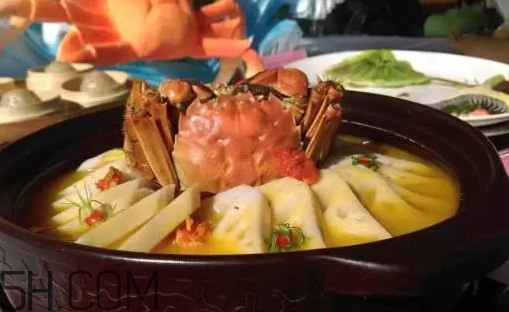 冬蟹和梭子蟹的區別 冬蟹和梭子蟹哪個好吃