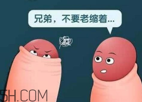 提肛會加重前列腺炎嗎？提肛會勃起正常嗎？