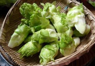 兒菜為什么叫兒菜？兒菜什么季節吃的