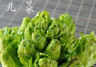 青菜頭是不是兒菜？大頭菜和兒菜的區別
