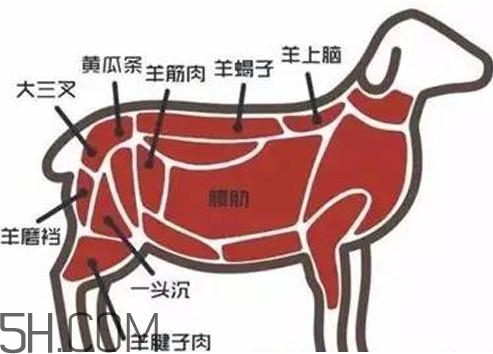 涮羊肉哪個(gè)部位最好吃？涮羊肉都有什么菜？