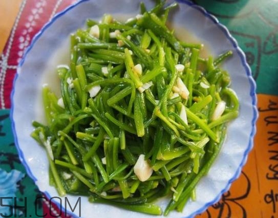 麗江水性楊花是什么菜？水性楊花菜怎么做？