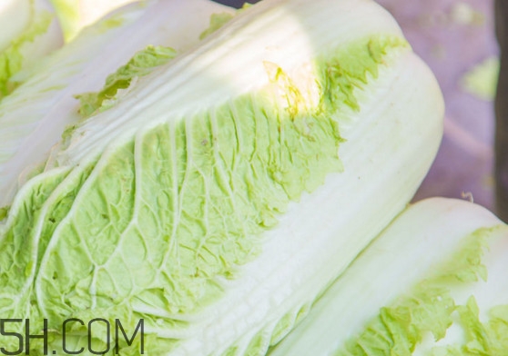 大白菜可以生吃嗎？大白菜可以隔夜吃嗎