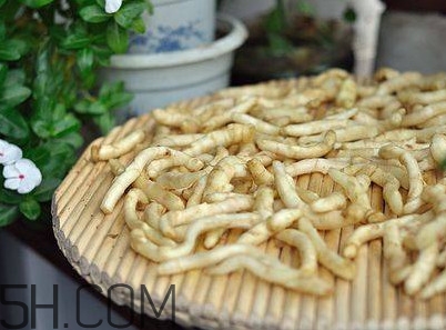 姜芽能吃嗎？姜芽怎么吃