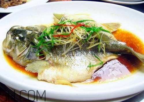 松江鱸魚怎么做？松江鱸魚養殖技術