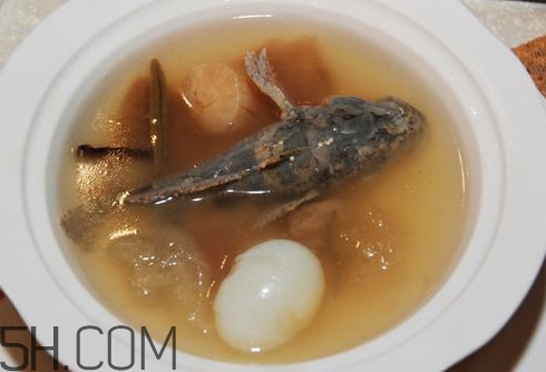 松江鱸魚(yú)哪里有？松江鱸魚(yú)什么季節(jié)吃最好