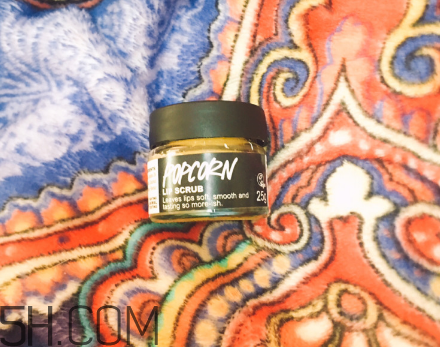 lush唇部磨砂膏好用嗎？lush唇部磨砂膏多少錢？
