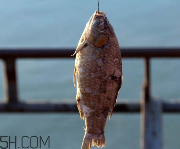 咸魚什么人不能吃？怎樣去除咸魚的咸