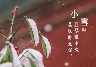小雪節氣是怎樣來的？小雪節氣飲食習俗有哪些