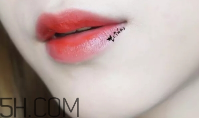 mac lady bug好看嗎？lady bug試色
