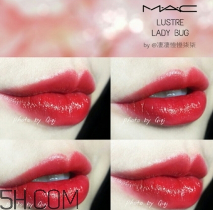 mac lady bug好看嗎？lady bug試色