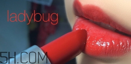 mac lady bug掉色嗎？mac ladybug真假辨別