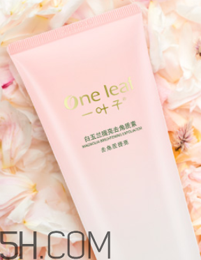 一葉子去角質素怎么樣？一葉子去角質素怎么用？