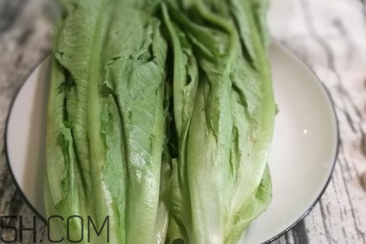 油麥菜的營養價值_油麥菜的功效與作用及食用方法