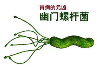 胃幽門螺旋菌陽(yáng)性怎么辦？幽門螺桿菌能徹底治愈嗎