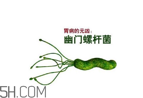 胃幽門螺旋菌陽性怎么辦？幽門螺桿菌能徹底治愈嗎
