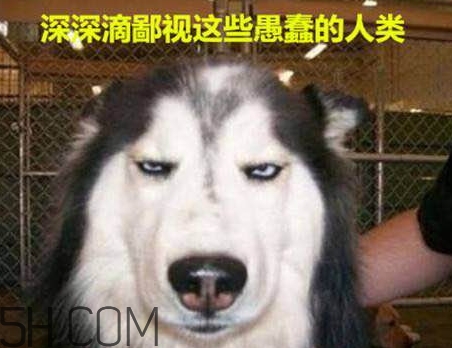 女生說我醉了什么意思？女生說喝多了怎么回復