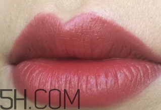 nars mona是啞光嗎？nars mona干不干？