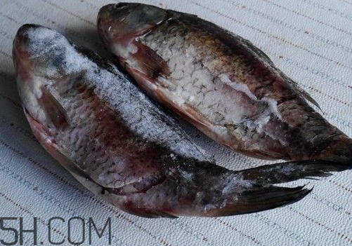 鯽魚冷凍后還有營養嗎 鯽魚冷藏還是冷凍