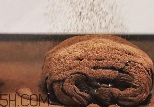 巧克力臟臟包多少錢一個？臟臟包價格表