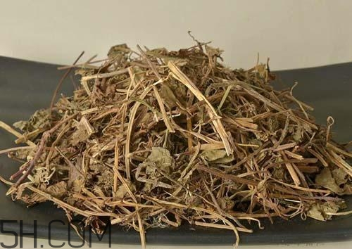 什么是透骨草？透骨草的功效與作用是什么？