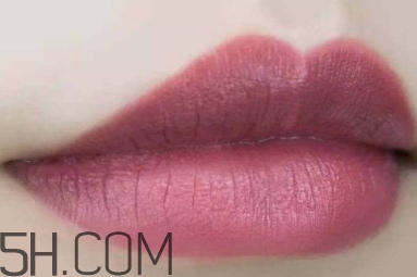 mac twig和brick o la一樣嗎？mac twig和brick o la試色對比