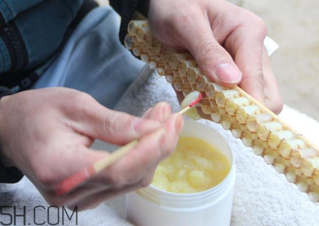 蜂王漿的營養成分有哪些？怎么辨別真假蜂王漿？