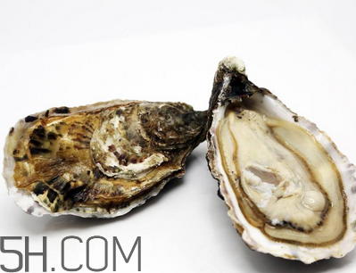 量吃生蠔有哪些好處？生蠔糖尿病人能吃嗎？