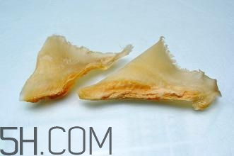 魚翅怎么發(fā)？孕婦可以吃魚翅嗎？
