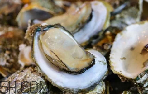 生蠔生吃好嗎？生蠔怎么吃最有營養？