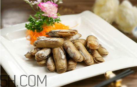 蟶子怎么清洗？蟶子可以用鹽水養么？