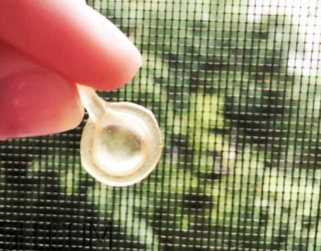 雅頓眼膠和面膠區別 雅頓眼膠和面膠可以一起用嗎？
