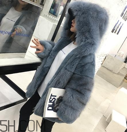 獺兔毛皮草一千元貴嗎？獺兔毛皮草2018年價格
