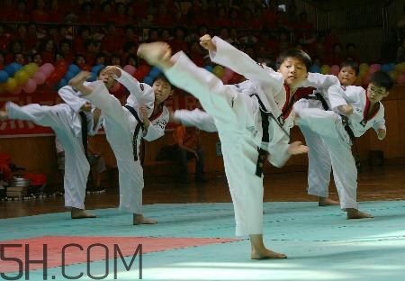 武術(shù)和跆拳道哪個對孩子好？武術(shù)和跆拳道的區(qū)別在哪里？