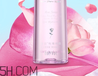 royvol萊茵是什么牌子？royvol萊茵是哪個國家的